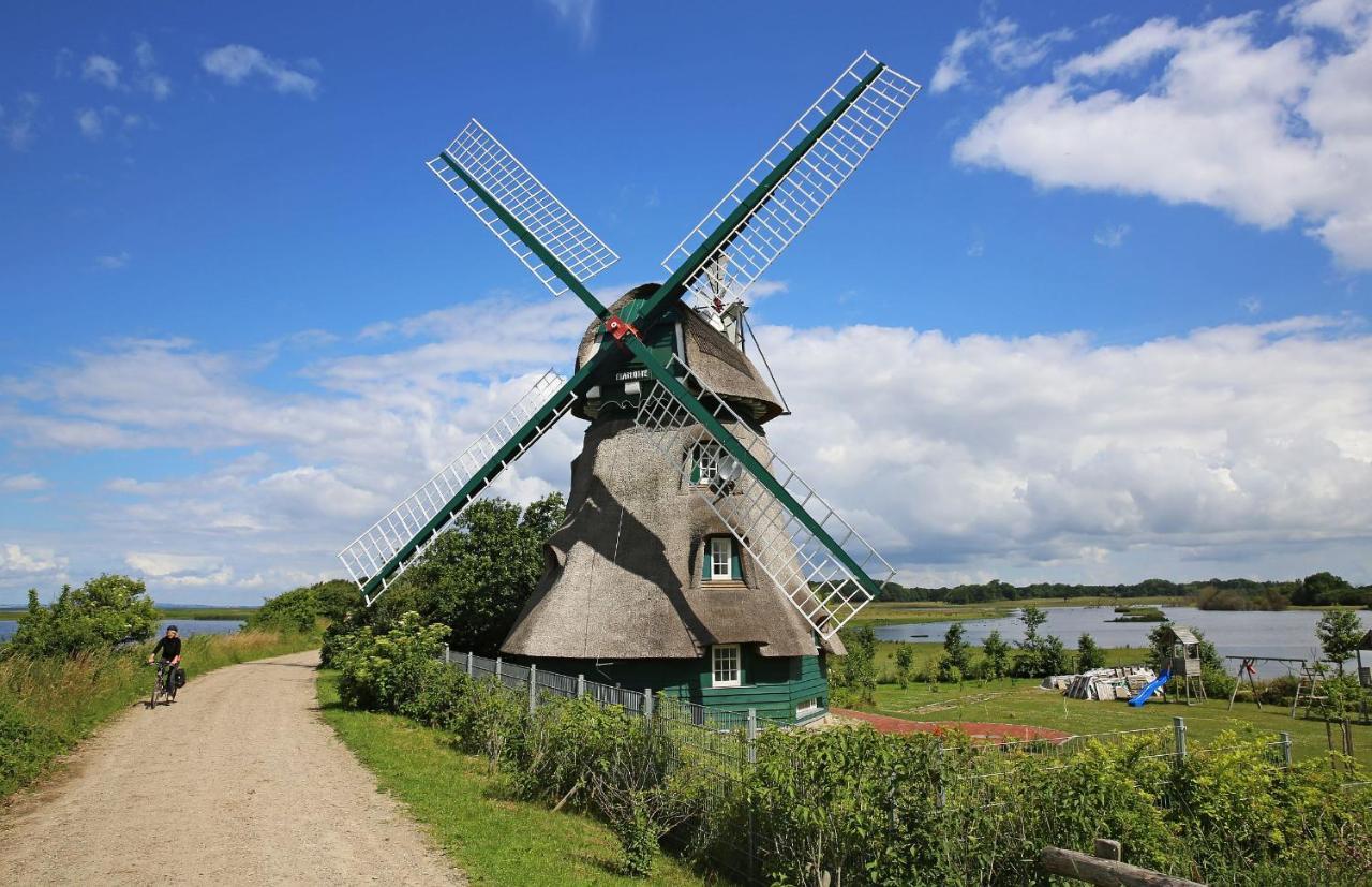 Puehler - Ferienwohnung Amsel Kronsgaard Esterno foto